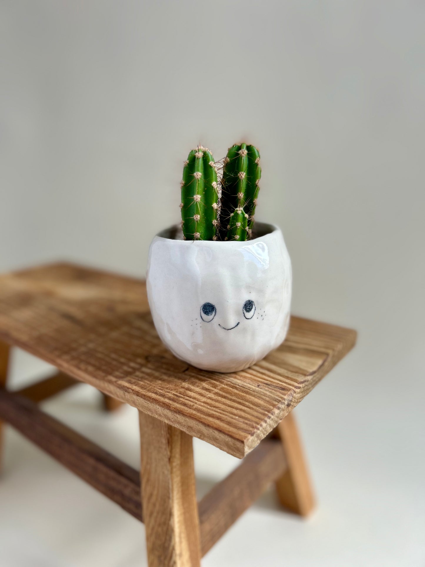 Pot champignon heureux
